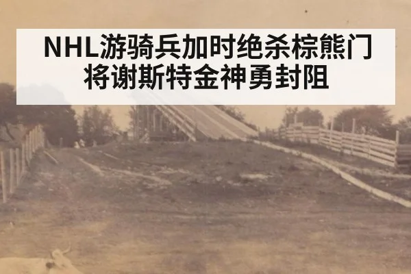 NHL游骑兵加时绝杀棕熊门将谢斯特金神勇封阻