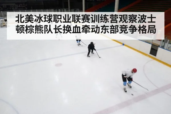 北美冰球职业联赛训练营观察波士顿棕熊队长换血牵动东部竞争格局